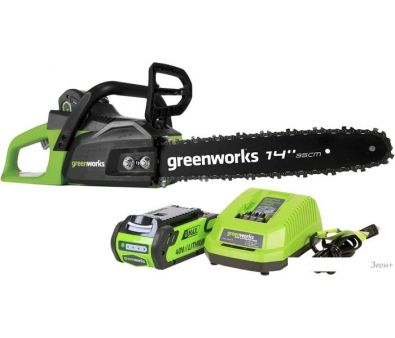   Greenworks GD40CS15 ( 1-  2 Ah)