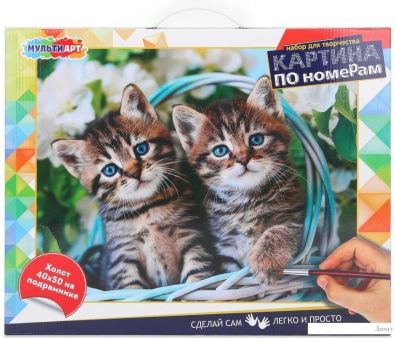    MultiArt  CANV40X50-115356