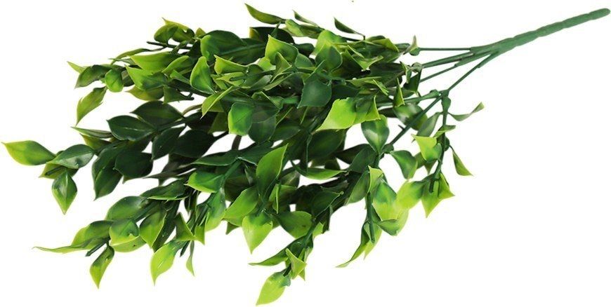 Искусственное растение Forgarden Рускус остролистный BN11123
