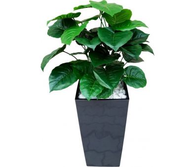 Искусственное растение Forgarden Филодендрон BN11137