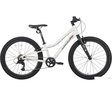 Maxiscoo 3bike 24 L 2025 MSC-M3-2403 (, )