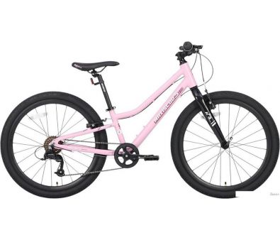  Maxiscoo 3bike 24 L 2025 MSC-M3-2404 ( )