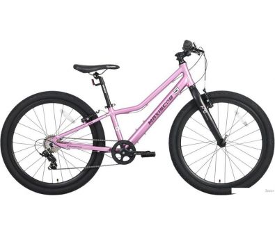  Maxiscoo 24 L200 2025 MSC-M5-2413 ( )