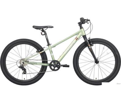  Maxiscoo 5bike 24 M200 2025 MSC-M5-2411 ()