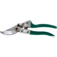  GreenGo 3809461