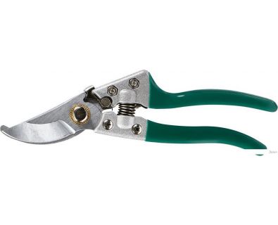  GreenGo 3809461
