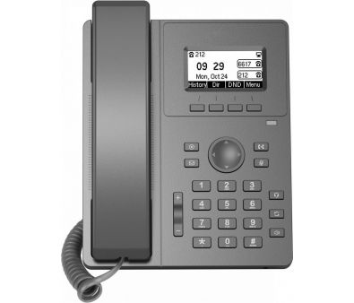IP- Flyingvoice P10W