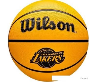   Wilson NBA Tribute Solid LA Lakers WZ4025414XB5 (5 )