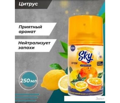      Sky Max  (250 )