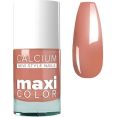  Giorgio Capachini MAXI COLOR   46