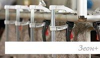 Струбцина Bessey KliKlamp KLI12