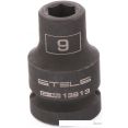  Stels 13913