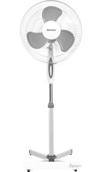  Blackton Bt F1114