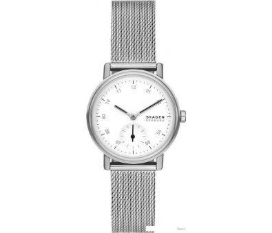 Наручные часы Skagen SKW3100