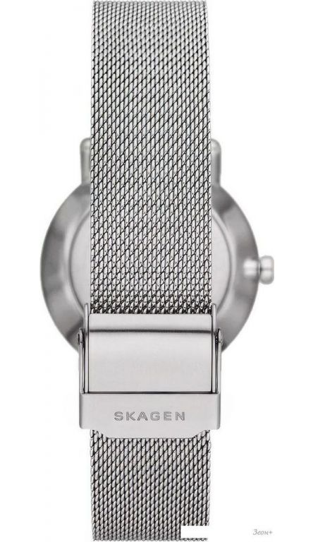 Наручные часы Skagen SKW3100
