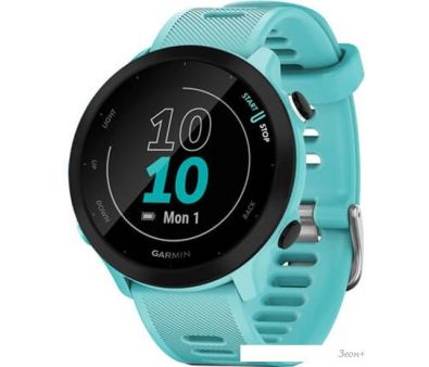   Garmin Forerunner 55 ()