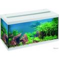   Eheim Aquastar Led 54  ()