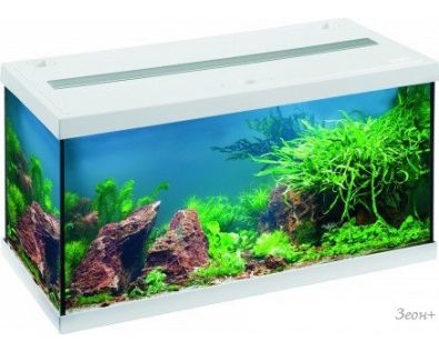   Eheim Aquastar Led 54  ()