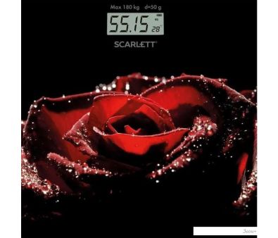   Scarlett SC-BS33E028