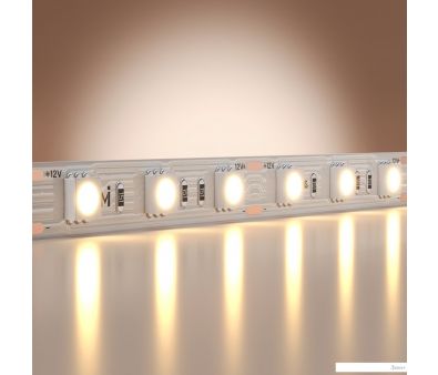   Maytoni Base 12 5050 14.4/ 3000K 5 IP20 201183
