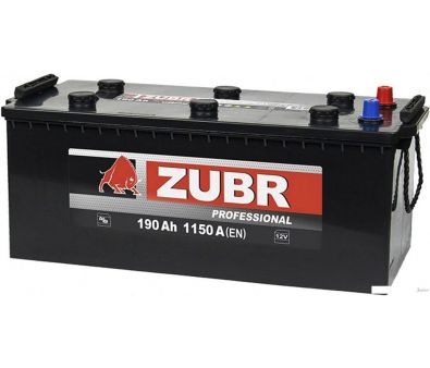   Zubr Professional L+   (190 /)