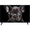 Телевизор Topdevice 32" OS SALUTE TV (черный)