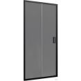 Душевая дверь Domani-Spa DoorCube 100x190 DS04DCb100L0T00.Gt-Black