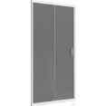Душевая дверь Domani-Spa DoorCube 100x190 DS04DCb100L0T00.W