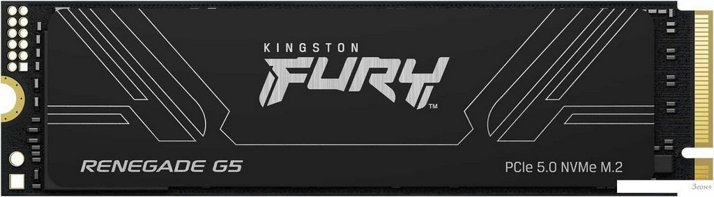 SSD Kingston Fury Renegade G5 1TB SFYR2S/1T0