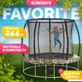  Sundays Favorite Premium 8FT (,  ,  )