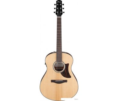   Ibanez AAM100E NT