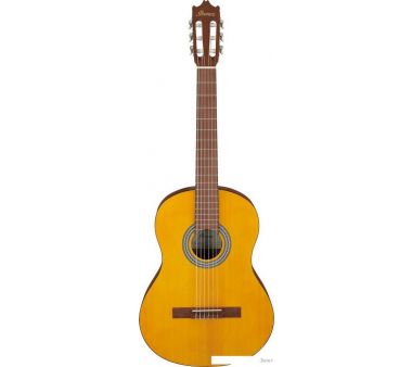   Ibanez GA3 OAM