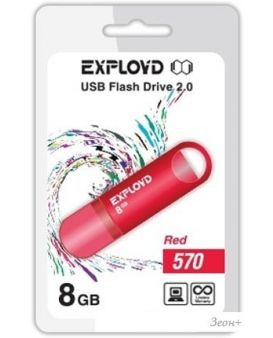 USB Flash Exployd 570 8GB ()