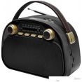  Ritmix RPR-040 ()