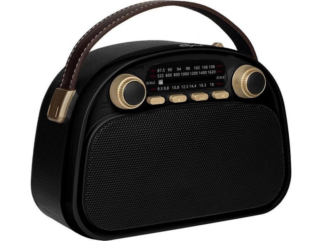 Радиоприемник Ritmix RPR-040 (черный)