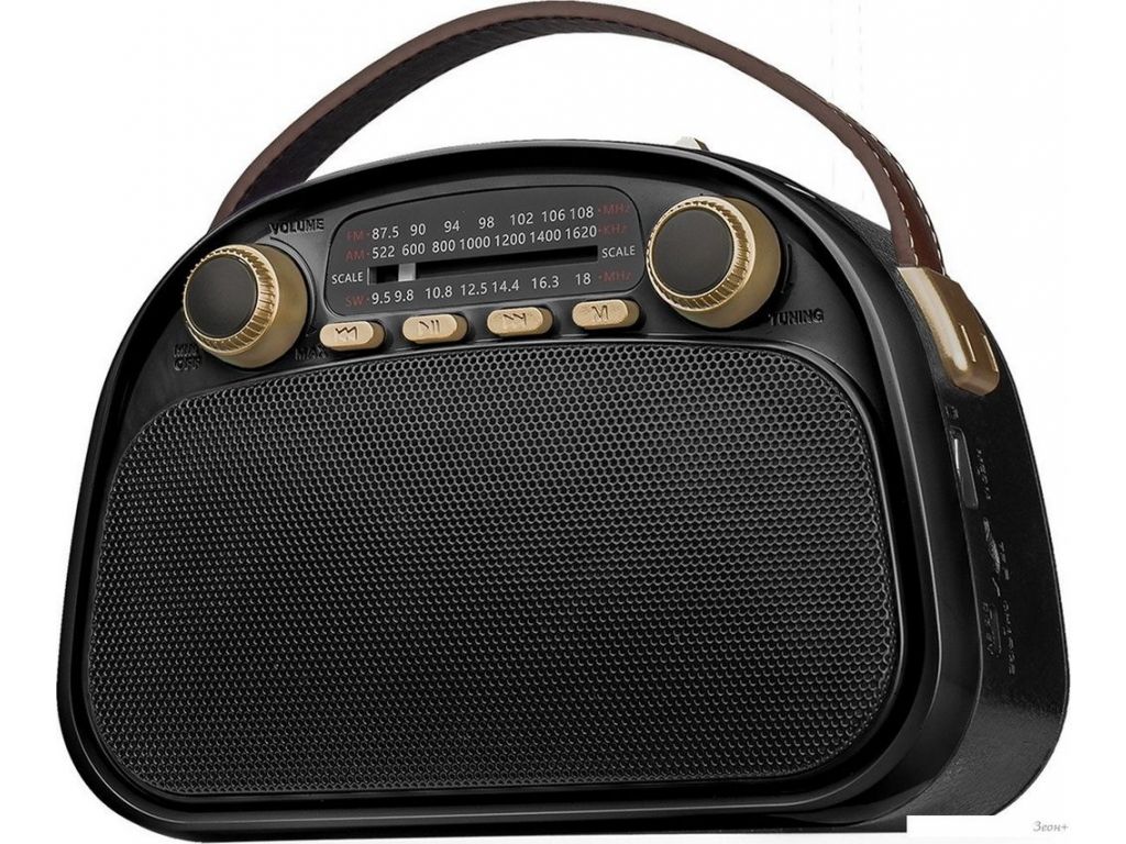 Радиоприемник Ritmix RPR-040 (черный)
