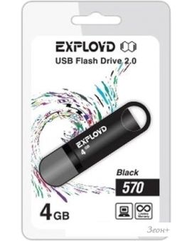 USB Flash Exployd 570 4GB ()