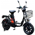  AVM E-ALFA FAT ( )