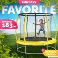  Sundays Favorite Premium 6FT (,  )