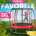 Sundays Favorite Premium 6FT (,  )
