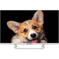 Телевизор Topdevice 24" SMART TV YаOS 03 (белый)
