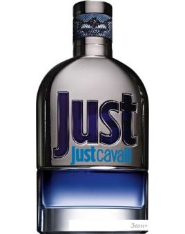 Roberto Cavalli Just Cavalli For Him EdT (30 )