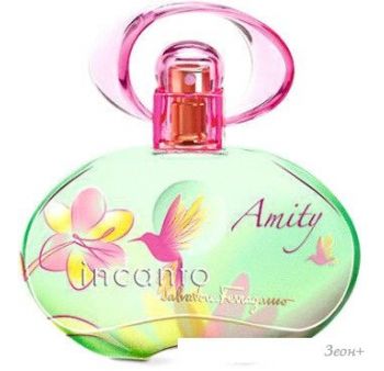   Salvatore Ferragamo Incanto Amity EdT (100 )