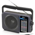  Ritmix RPR-320