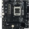 Материнская плата BIOSTAR A620MS Ver. 6.0