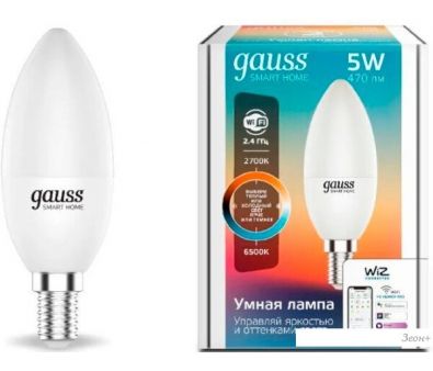   Gauss Smart Home 1110112