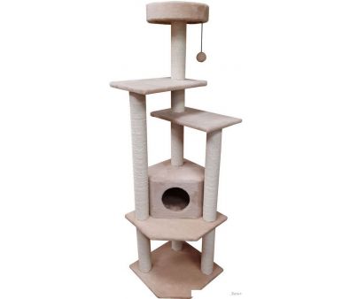 Cat House  ( )