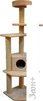  Cat House   ()