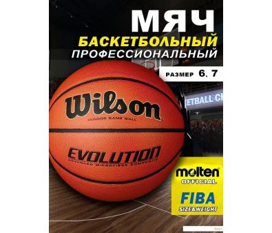   Wilson Evolution WTB0586XBEMEA (6 )