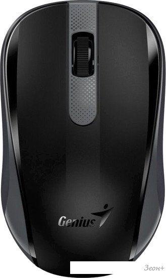 Мышь Genius NX-8008S (черный/серый)